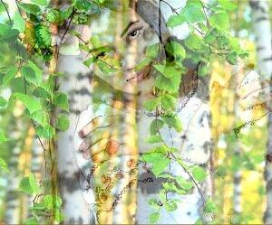 Можно выдумать