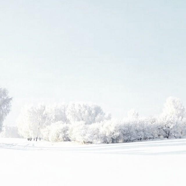 Зима. Природы благодать!