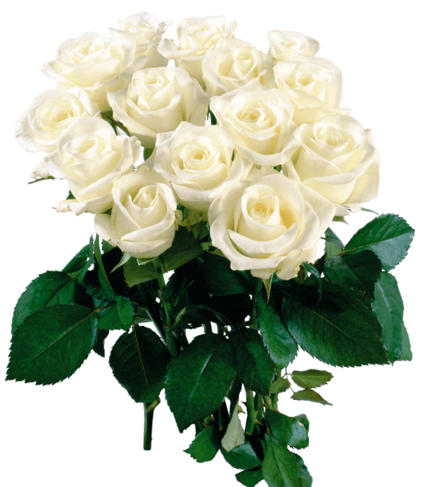 ЦВЕТЫ - СВИДЕТЕЛИ СУДЬБЫ