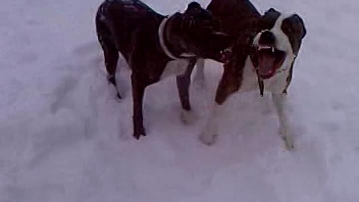 СЛОВОМ МОЖНО УБИТЬ