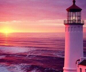 Розовое море