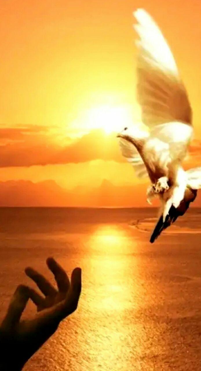  Ты - это Всё 