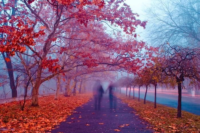 Просто теплом твоим очень согреться хочется.