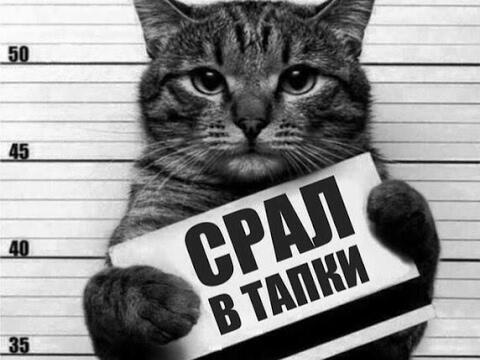 Кисы у Ларисы