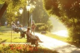 Летняя жара