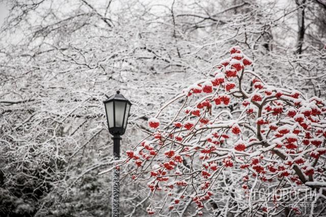 А сегодня снег летел