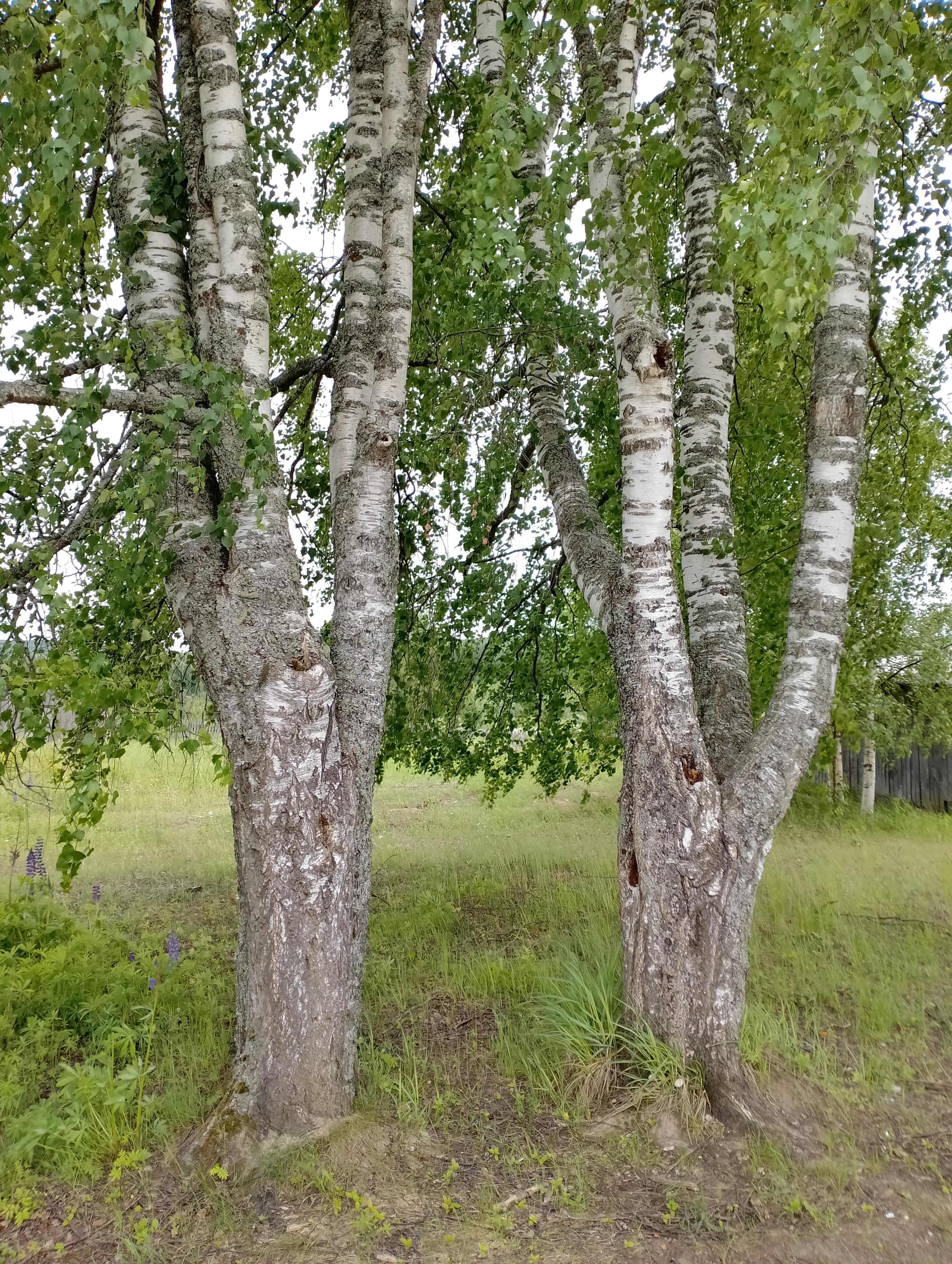 Отчего же так сложно? 