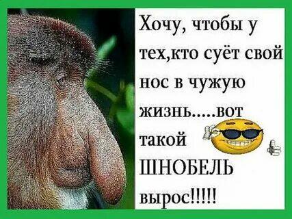 Эпитафия. ДвуХстишье