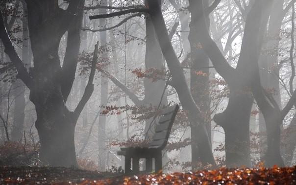 Быть может, наивно и странно...