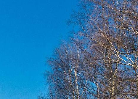 АПРЕЛЬСКОЕ НАСТРОЕНИЕ