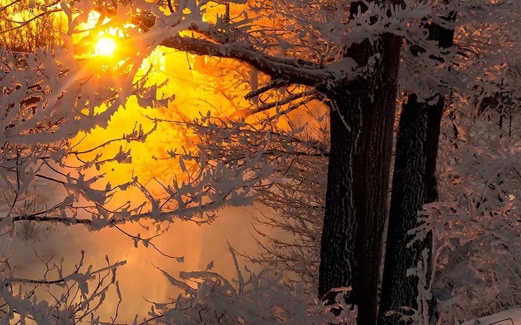 Среди колких снежинок...