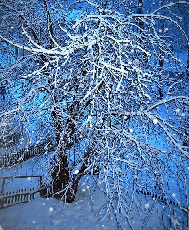 Снежные стихи