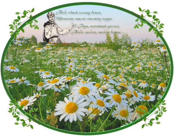 С.А. ЕСЕНИНУ  !  /любимому поэту посвящаю/ НЕТ ПОКОЯ !