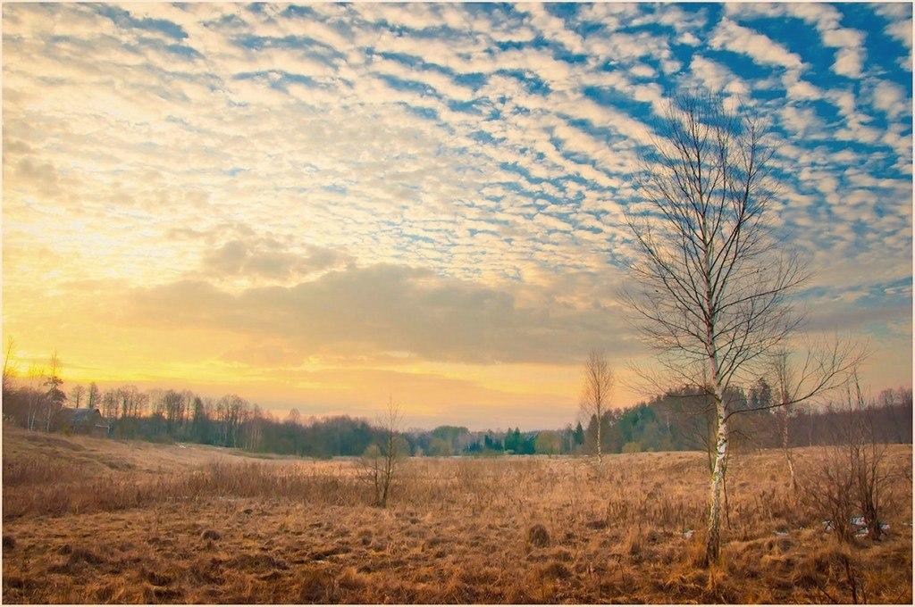 Обнаженно пустынная Русь