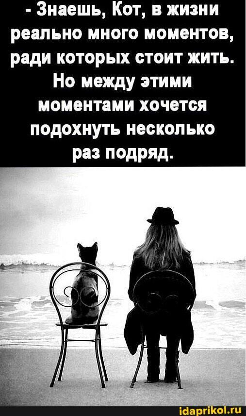 Знаешь, Кот