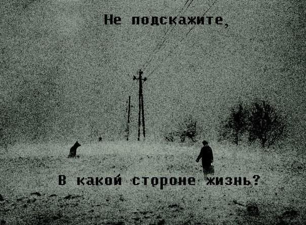 Дорога скатертью