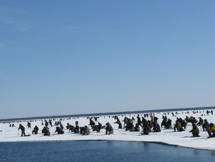 Порочный круг