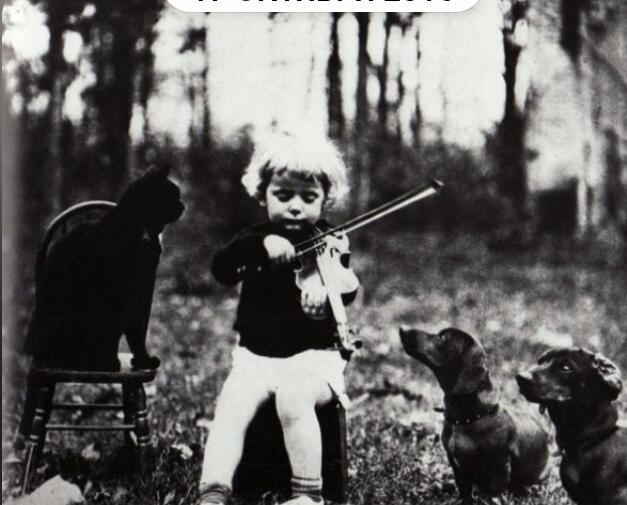 Большой концерт