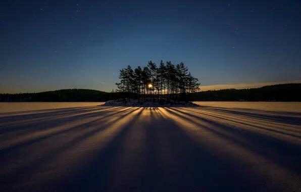 Власть Тени