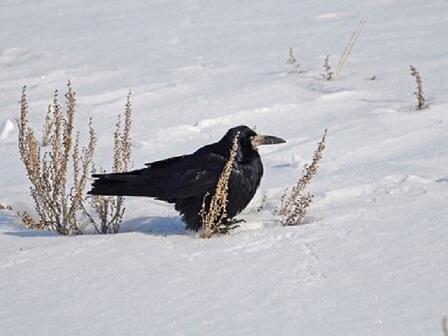 двадцать восьмое. март.