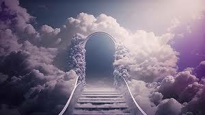 Райские кущи