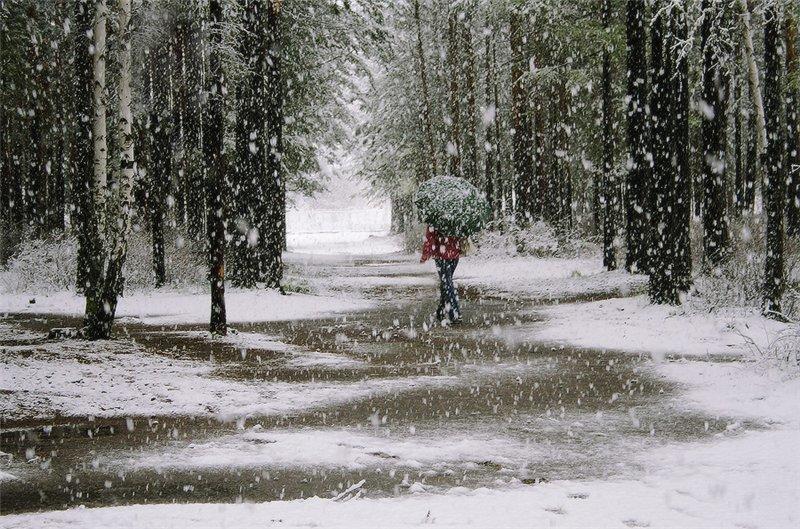Завьюжило, заснегопадило