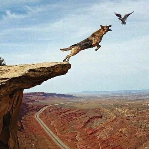 ...Страшная сила.