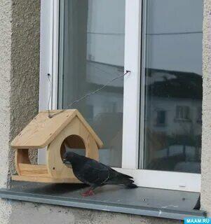 За окошком есть кормушка, LoveDreamer