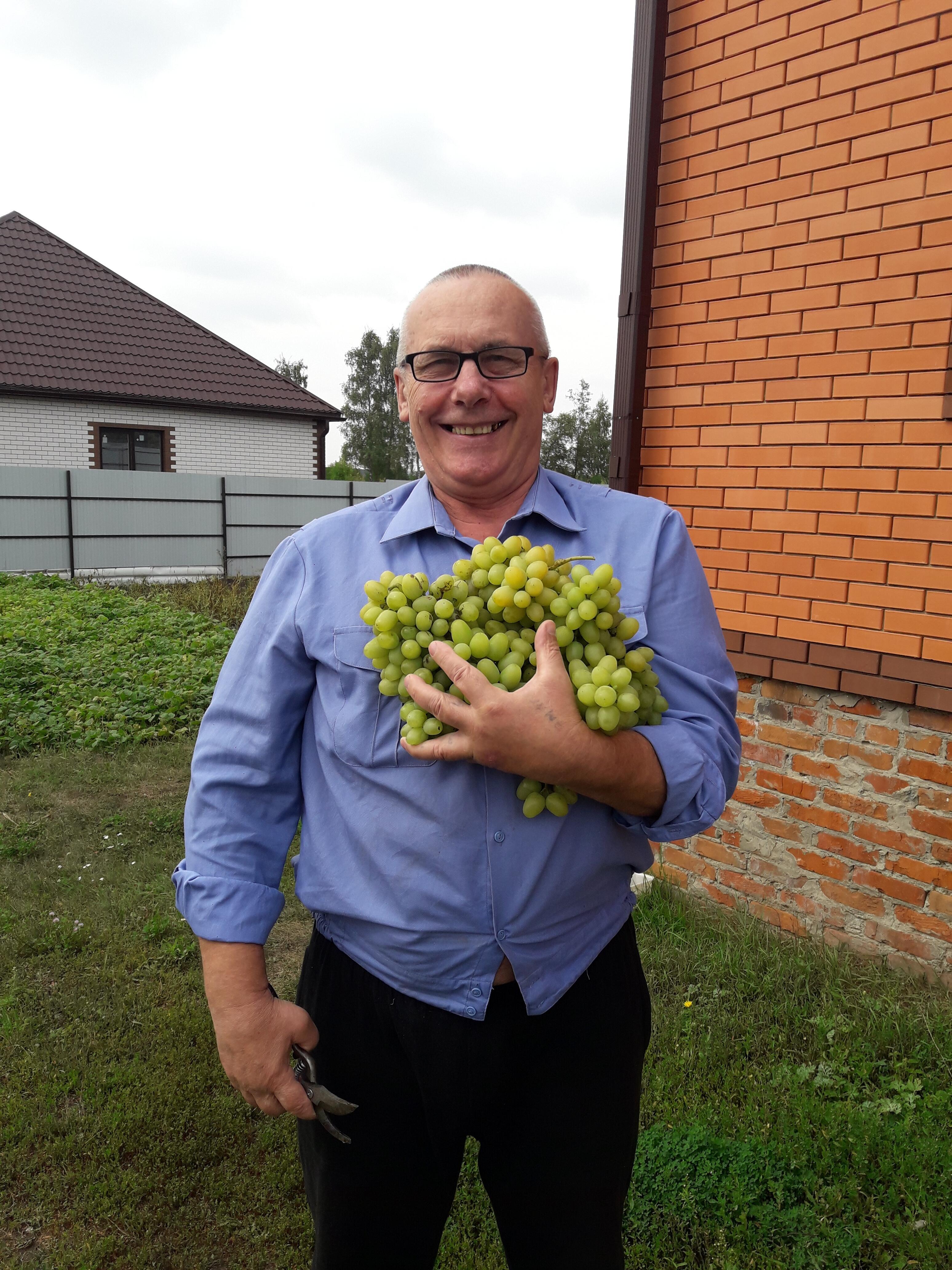 НОЧНАЯ ДРЕМОТА