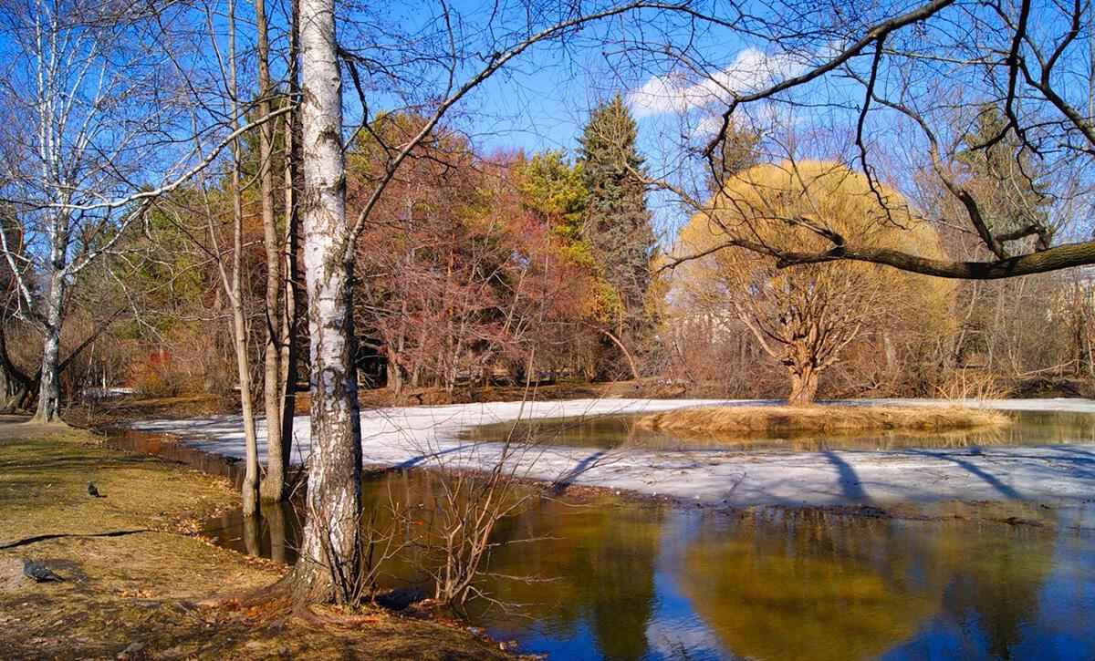 Апрельский снег... (Хокку)...