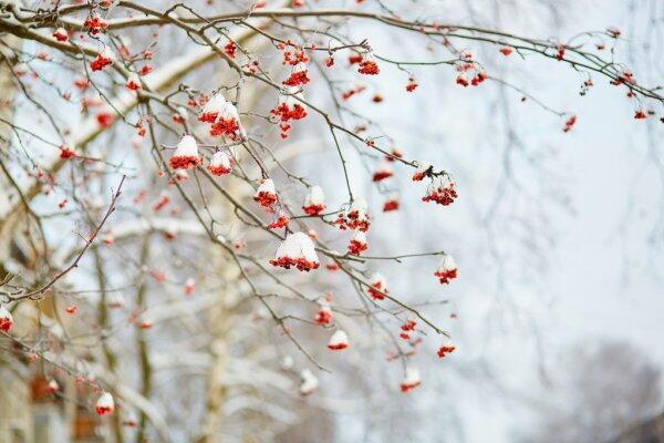 Протоптана тропинка…