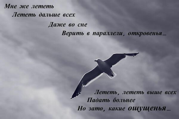 Ощущения