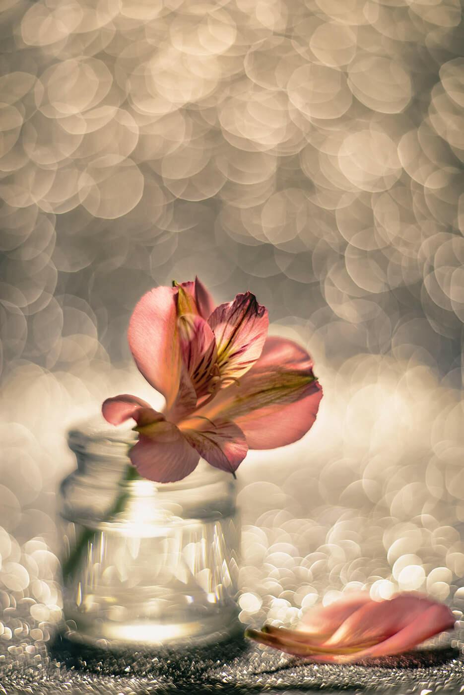 Не могу вопреки