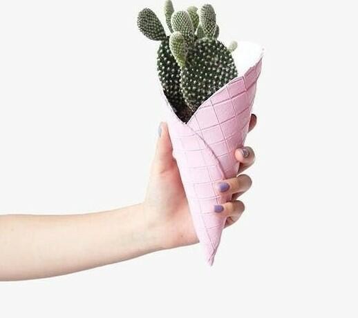 На грани разумного