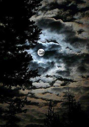 Пастушка бледная луна