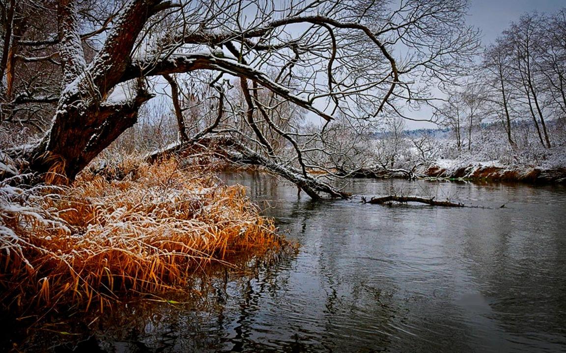 Запоздалая осень