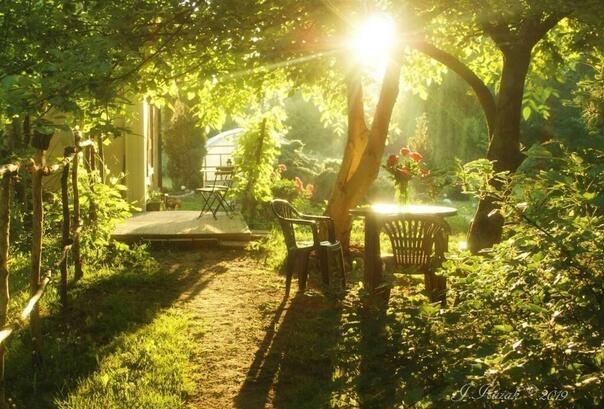 Солнце проснется и тебе улыбнется!