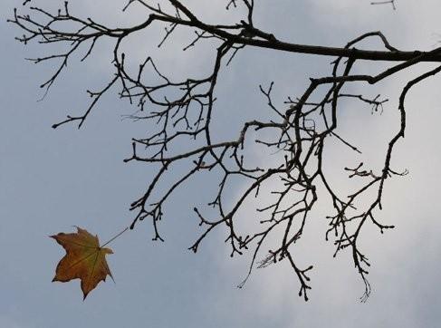 Последний лист