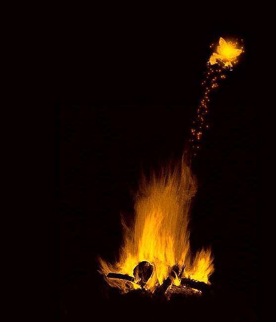 Жизнь уголька