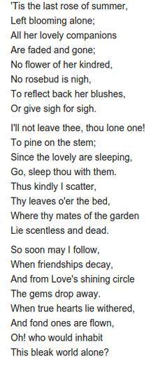 Последняя роза лета (перевод стихотворения Томаса Мура)