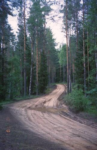 Ночная дорога в России.