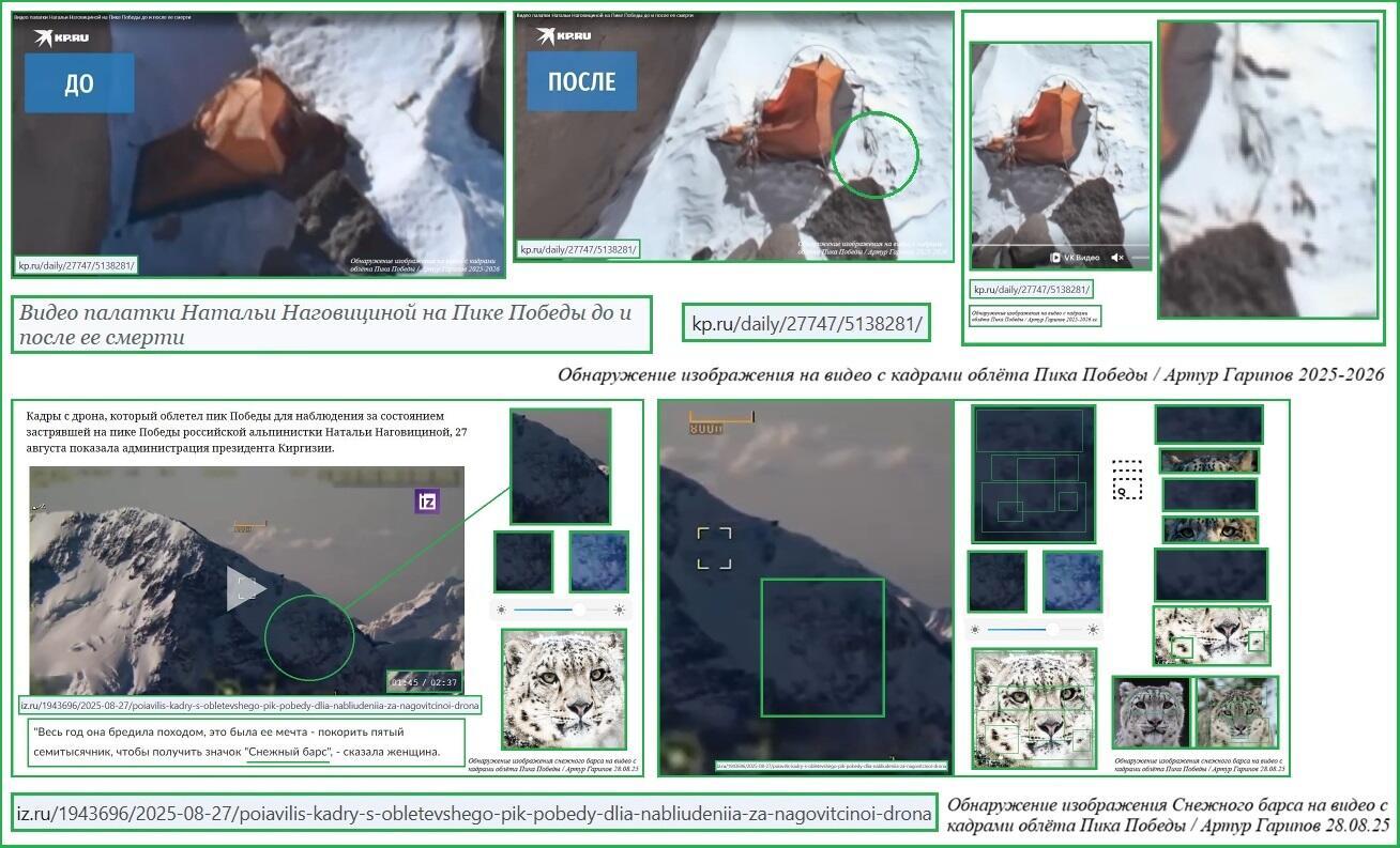 Снежный барс