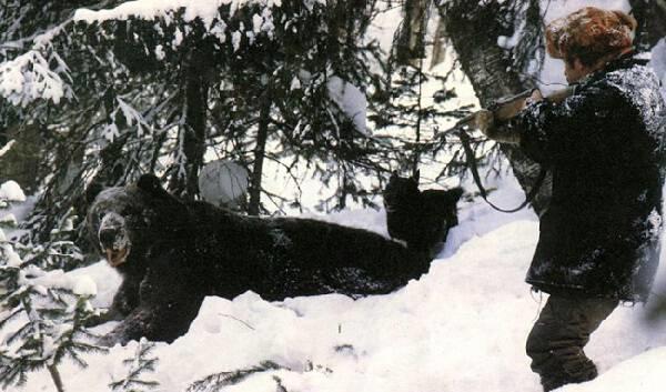 Зимняя охота на медведя