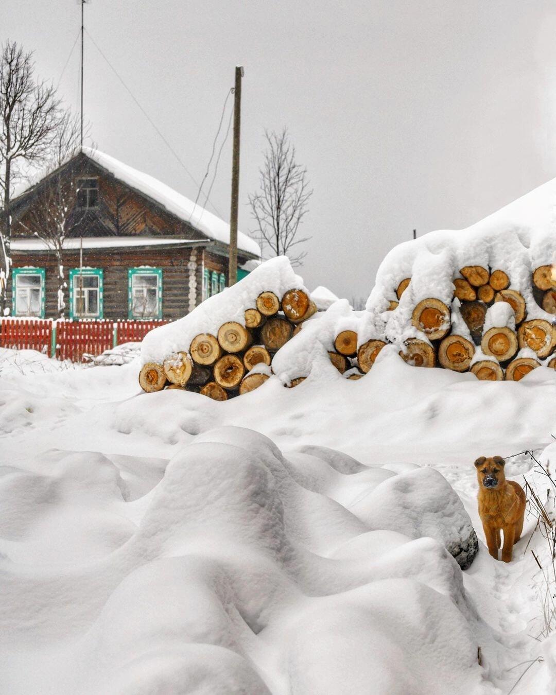 Зимние одежды