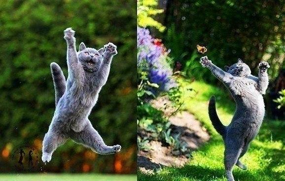 « Уж очень давно пишу я стихи».