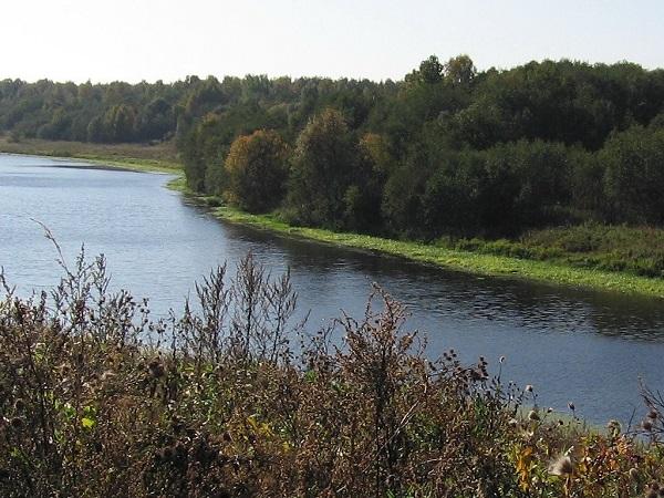 Не манит заграница…