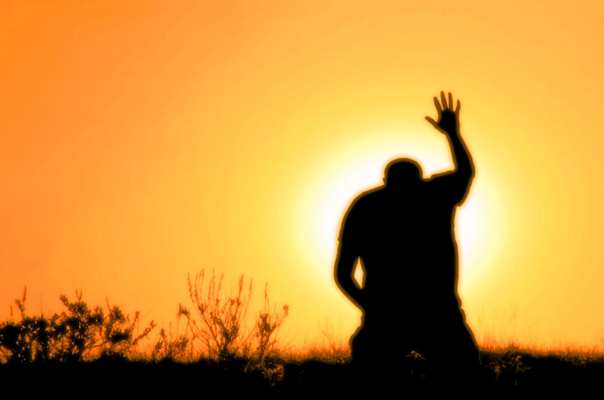 Вот кто-то судьбой распорядился