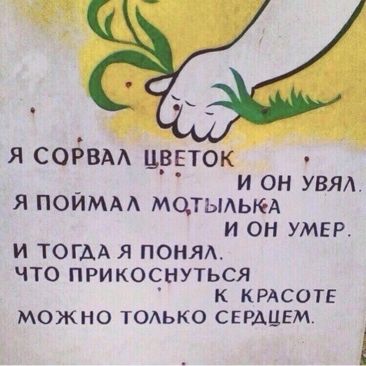 Только сердце