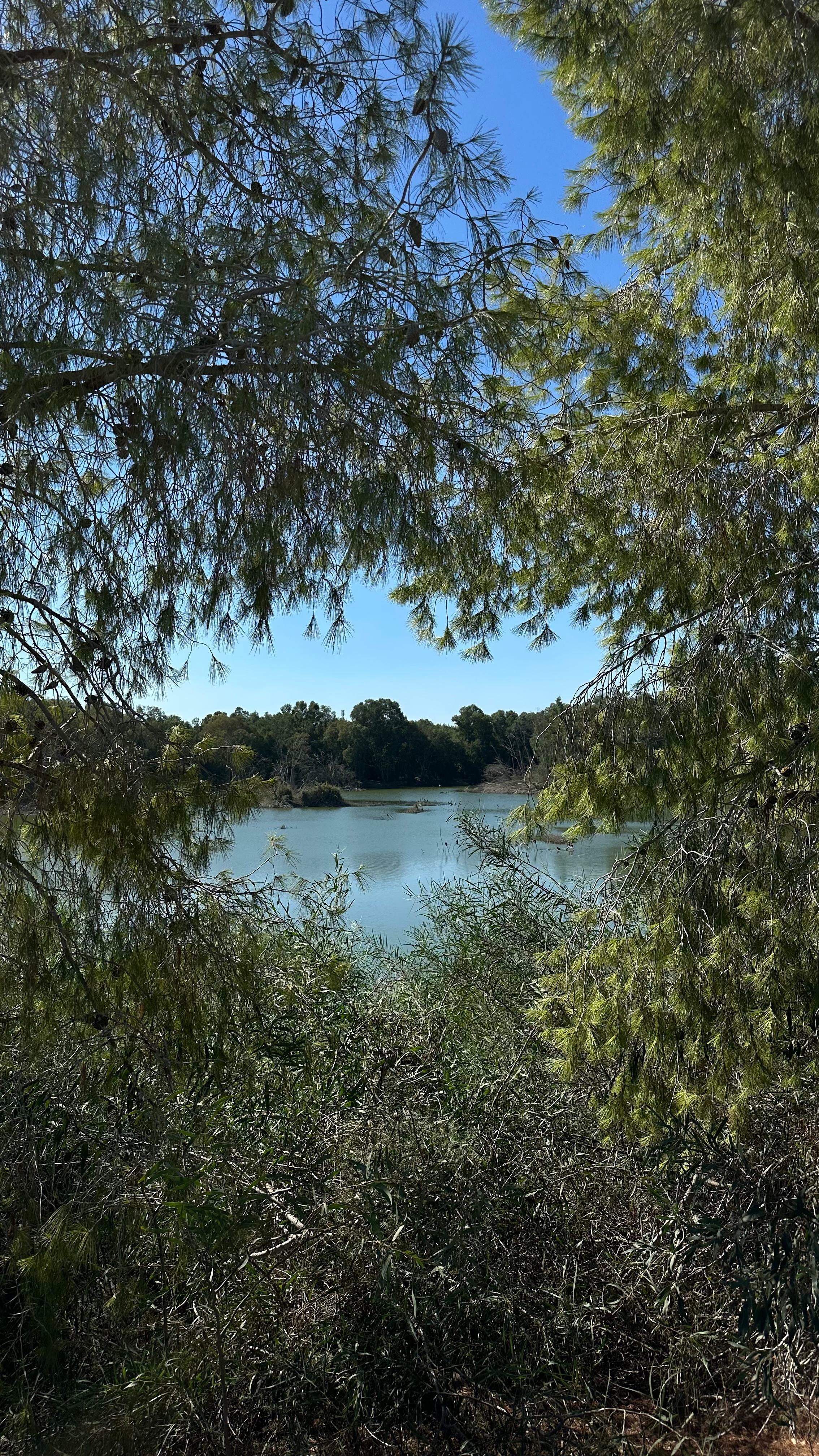 Поэтическое прочтение 105 -го псалма