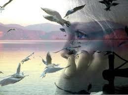 На прощание...